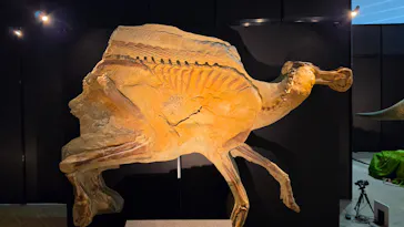ヨコハマ恐竜展２０２６～恐竜の食卓大図鑑～に投稿された画像（2026/7/28）