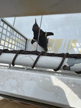 葛西臨海水族園に投稿された画像（2026/7/28）
