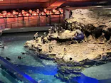 すみだ水族館に投稿された画像（2026/7/28）