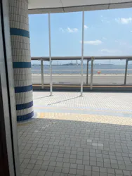 名古屋港水族館に投稿された画像（2026/7/28）