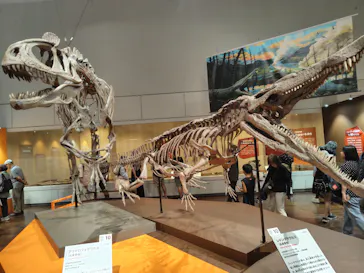 特別展　大絶滅展に投稿された画像（2026/7/28）