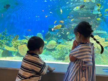 しながわ水族館に投稿された画像（2026/7/28）