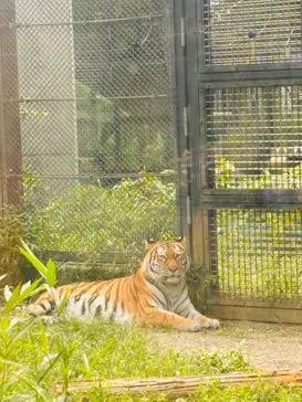 秋田市大森山動物園に投稿された画像（2026/7/28）