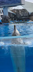 名古屋港水族館に投稿された画像（2026/7/28）