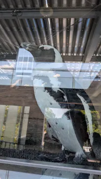 京都水族館に投稿された画像（2026/7/28）