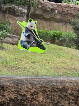 上野動物園 ハシビロカートに投稿された画像（2026/7/28）