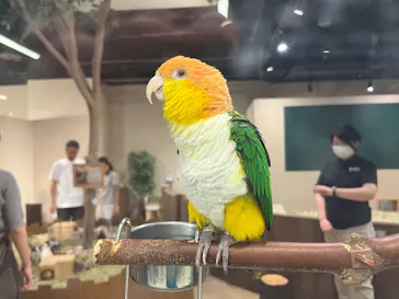 カワスイ 川崎⽔族館に投稿された画像（2026/7/28）
