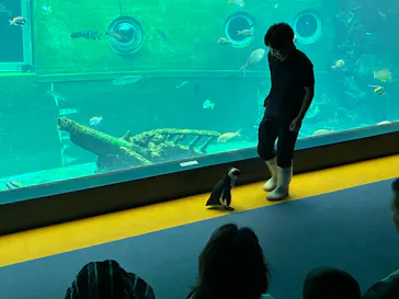 箱根園水族館に投稿された画像（2026/7/28）