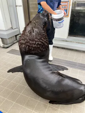 仙台うみの杜水族館に投稿された画像（2026/7/28）