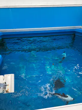 仙台うみの杜水族館に投稿された画像（2026/7/28）