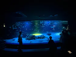 サンシャイン水族館に投稿された画像（2026/7/28）