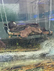 サンシャイン水族館に投稿された画像（2026/7/28）