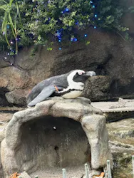 サンシャイン水族館に投稿された画像（2026/7/28）