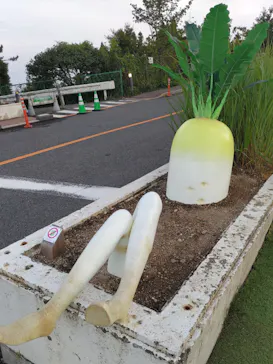自然体感展望台 六甲枝垂れに投稿された画像（2026/7/28）