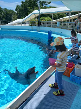マリンワールド海の中道に投稿された画像（2026/7/28）