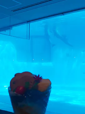 マリンワールド海の中道に投稿された画像（2026/7/28）