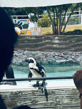 マリンワールド海の中道に投稿された画像（2026/7/28）