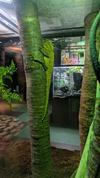 広島もとまち水族館に投稿された画像（2026/7/28）