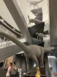 福井県立恐竜博物館に投稿された画像（2026/7/29）