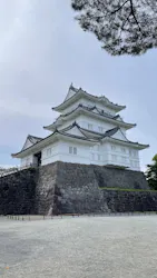 小田原城に投稿された画像（2026/7/28）