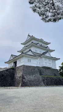 小田原城に投稿された画像（2026/7/28）