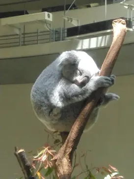 多摩動物公園に投稿された画像（2026/7/28）