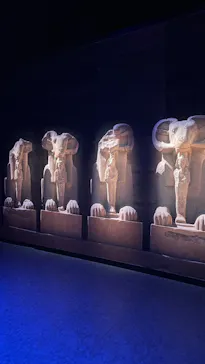 ACN ラムセス大王展 ファラオたちの黄金に投稿された画像（2026/7/28）