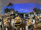 福井県立恐竜博物館に投稿された画像（2026/7/29）