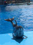 名古屋港水族館に投稿された画像（2026/7/29）