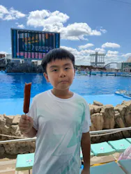 名古屋港水族館に投稿された画像（2026/7/29）