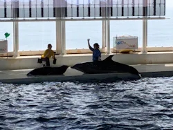 アクアワールド茨城県大洗水族館に投稿された画像（2026/7/29）