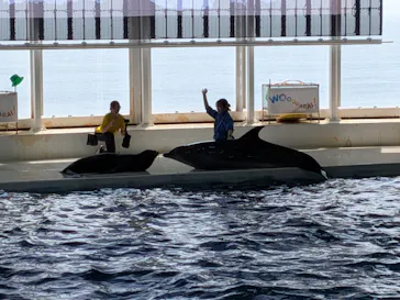 アクアワールド茨城県大洗水族館に投稿された画像（2026/7/29）