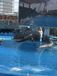 名古屋港水族館に投稿された画像（2026/7/29）