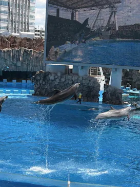 名古屋港水族館に投稿された画像（2026/7/29）