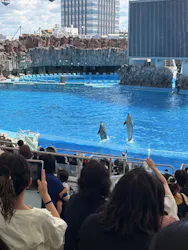 名古屋港水族館に投稿された画像（2026/7/29）