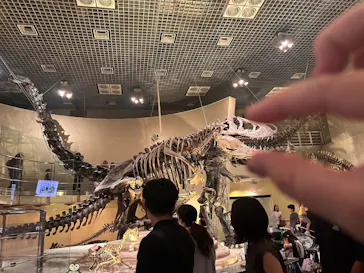 国立科学博物館に投稿された画像（2026/7/29）