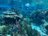 名古屋港水族館に投稿された画像（2026/7/29）