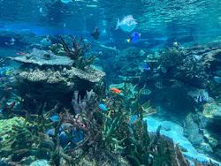 名古屋港水族館に投稿された画像（2026/7/29）