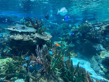 名古屋港水族館に投稿された画像（2026/7/29）