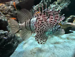 名古屋港水族館に投稿された画像（2026/7/29）