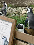 那須どうぶつ王国に投稿された画像（2026/7/29）