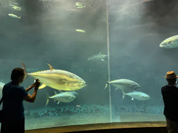 葛西臨海水族園に投稿された画像（2026/7/29）