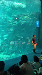 新江ノ島水族館に投稿された画像（2026/7/29）