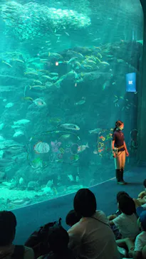 新江ノ島水族館に投稿された画像（2026/7/29）