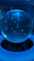 新江ノ島水族館に投稿された画像（2026/7/29）