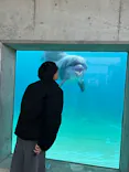 越前松島水族館に投稿された画像（2026/7/29）