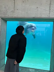 越前松島水族館に投稿された画像（2026/7/29）