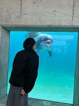 越前松島水族館に投稿された画像（2026/7/29）