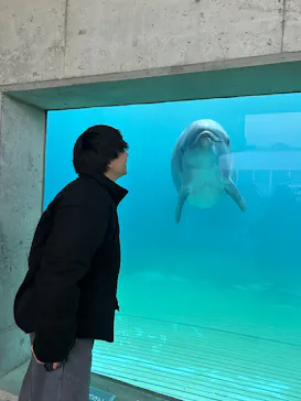 越前松島水族館に投稿された画像（2026/7/29）