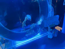 名古屋港水族館に投稿された画像（2026/7/29）